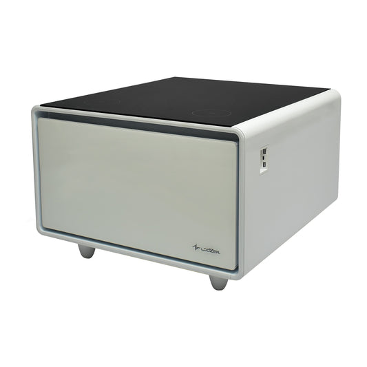 ルーザー LOOZER スマートテーブル STB65 冷蔵庫 65L